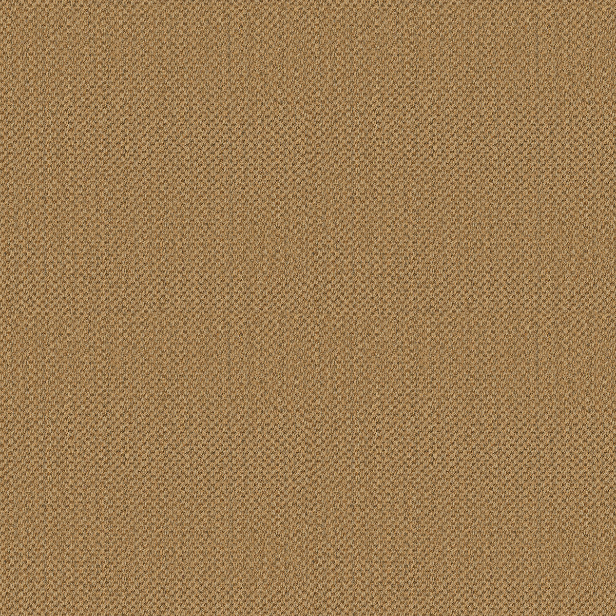 dragon-grass-edgewood-sisal-weave-1200 Close-up of the fine woven texture of Dragon Grass sisal.